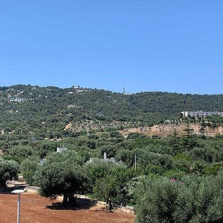 Appartamento Con Vista Φαζάνο Εξωτερικό φωτογραφία